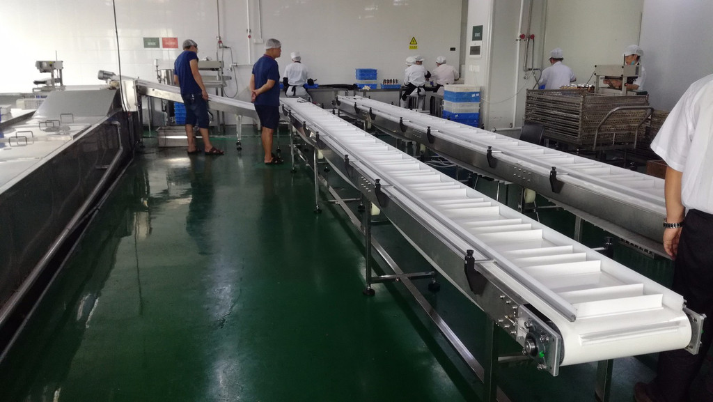 皮带线（食品）